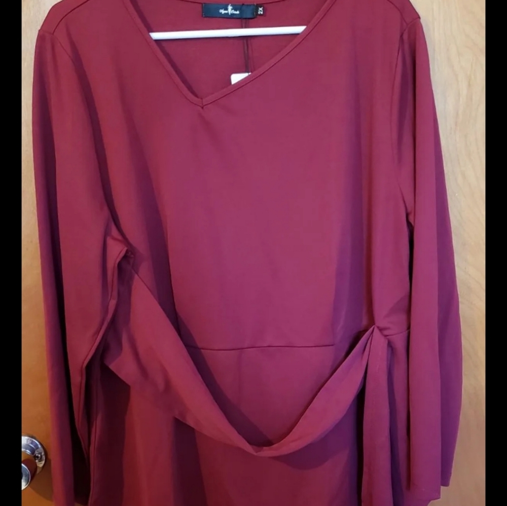 Plus size women's top
